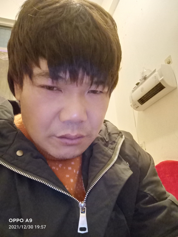 小鸟找窝的第二张照片--南安征婚网