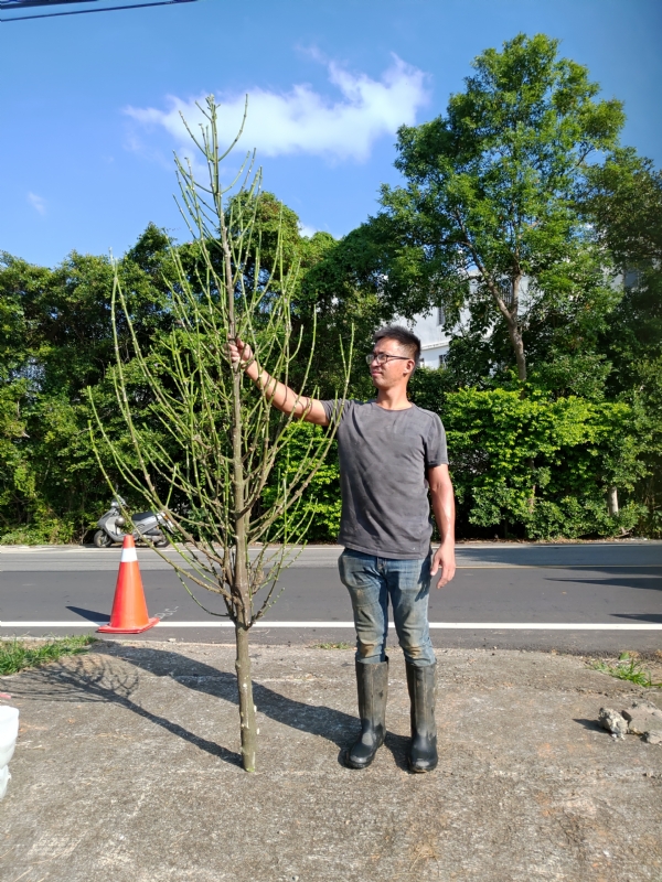 jeff的第二张照片--南安征婚网