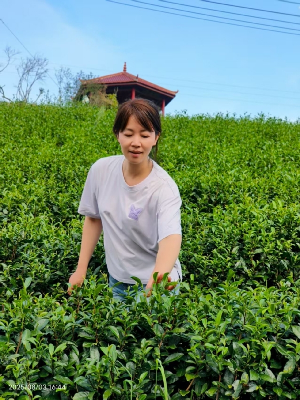 Q绮芳的第一张照片--南安征婚网